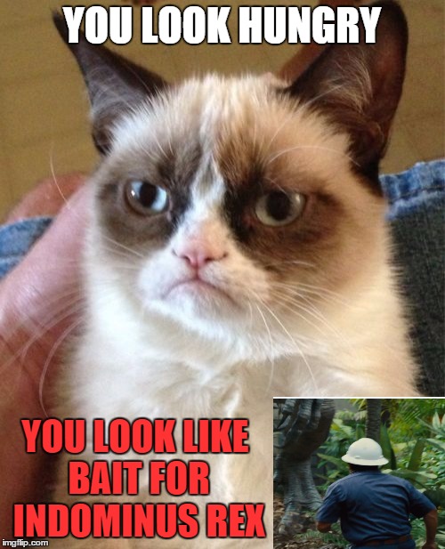 Grumpy Cat Meme | YOU LOOK HUNGRY YOU LOOK LIKE BAIT FOR INDOMINUS REX | image tagged in memes,grumpy cat | made w/ Imgflip meme maker