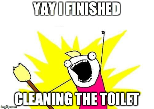 X All The Y | YAY I FINISHED CLEANING THE TOILET | image tagged in memes,x all the y | made w/ Imgflip meme maker