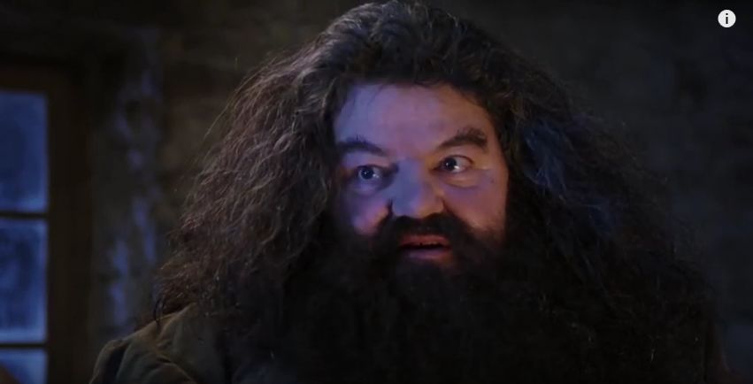 Hagrid wizard Blank Meme Template
