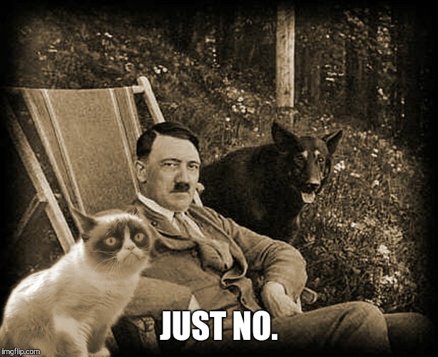 Grumpy Cat with Hitler | JUST NO. | image tagged in grumpy cat with hitler | made w/ Imgflip meme maker
