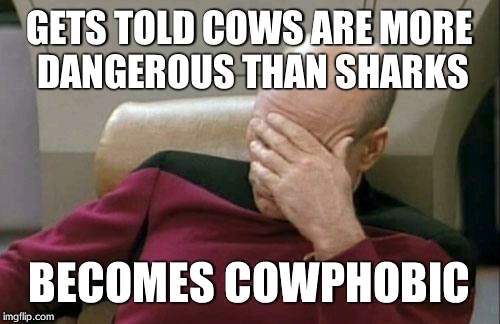 Captain Picard Facepalm | GETS TOLD COWS ARE MORE DANGEROUS THAN SHARKS BECOMES COWPHOBIC | image tagged in memes,captain picard facepalm | made w/ Imgflip meme maker