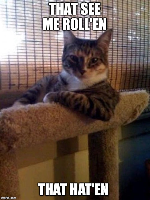 The Most Interesting Cat In The World Meme | THAT SEE ME ROLL'EN THAT HAT'EN | image tagged in memes,the most interesting cat in the world | made w/ Imgflip meme maker