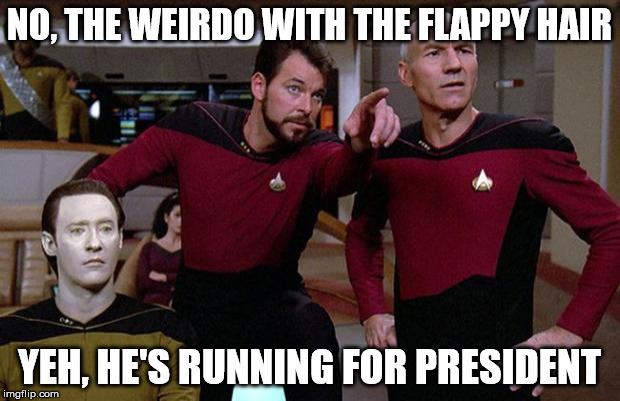 pointy riker | NO, THE WEIRDO WITH THE FLAPPY HAIR YEH, HE'S RUNNING FOR PRESIDENT | image tagged in pointy riker | made w/ Imgflip meme maker