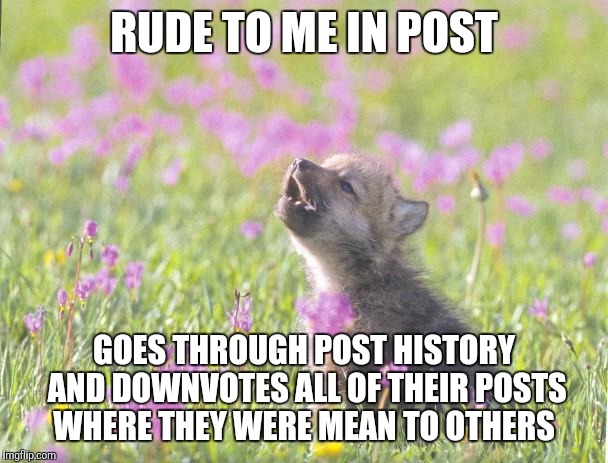 Baby Insanity Wolf Meme | RUDE TO ME IN POST GOES THROUGH POST HISTORY AND DOWNVOTES ALL OF THEIR POSTS WHERE THEY WERE MEAN TO OTHERS | image tagged in memes,baby insanity wolf,AdviceAnimals | made w/ Imgflip meme maker