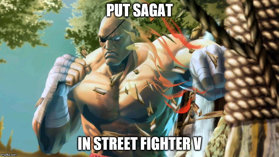 PUT SAGAT IN STREET FIGHTER V | made w/ Imgflip meme maker