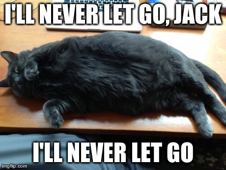 I'LL NEVER LET GO, JACK I'LL NEVER LET GO | image tagged in funny | made w/ Imgflip meme maker