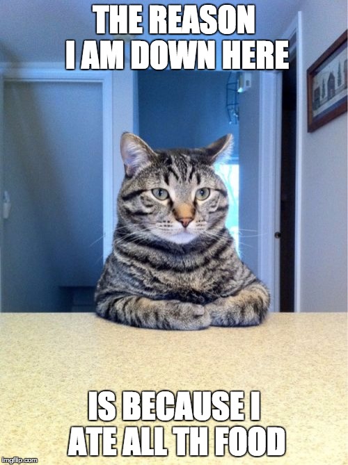 Take A Seat Cat Meme | THE REASON I AM DOWN HERE IS BECAUSE I ATE ALL TH FOOD | image tagged in memes,take a seat cat | made w/ Imgflip meme maker