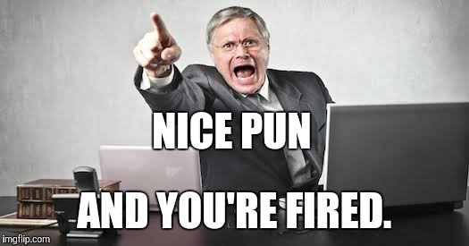 NICE PUN AND YOU'RE FIRED. | made w/ Imgflip meme maker
