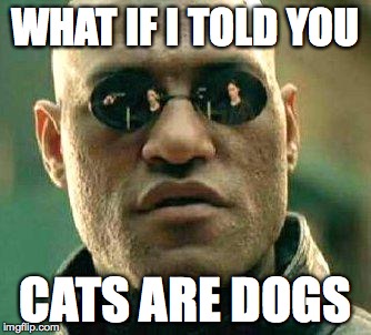 What if i told you | WHAT IF I TOLD YOU CATS ARE DOGS | image tagged in what if i told you | made w/ Imgflip meme maker