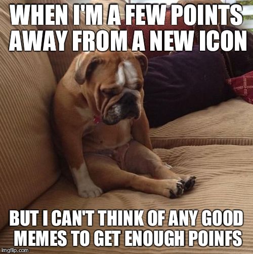 bulldogsad | WHEN I'M A FEW POINTS AWAY FROM A NEW ICON BUT I CAN'T THINK OF ANY GOOD MEMES TO GET ENOUGH POINFS | image tagged in bulldogsad | made w/ Imgflip meme maker
