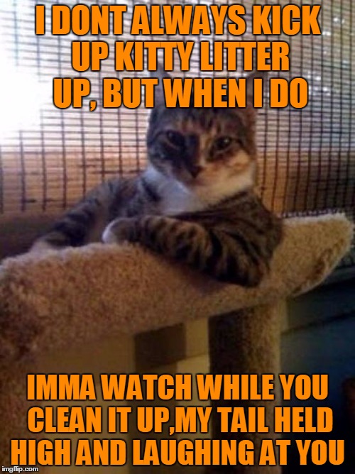 The Most Interesting Cat In The World | I DONT ALWAYS KICK UP KITTY LITTER UP, BUT WHEN I DO IMMA WATCH WHILE YOU CLEAN IT UP,MY TAIL HELD HIGH AND LAUGHING AT YOU | image tagged in memes,the most interesting cat in the world | made w/ Imgflip meme maker