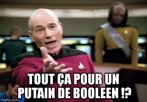 Picard Wtf Meme | TOUT ÇA POUR UN PUTAIN DE BOOLEEN !? | image tagged in memes,picard wtf | made w/ Imgflip meme maker