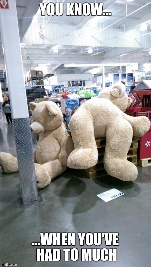 drunk teddy bears at costco