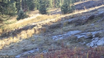image tagged in gifs | made w/ Imgflip video-to-gif maker