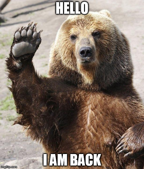 Hello bear | HELLO I AM BACK | image tagged in hello bear | made w/ Imgflip meme maker