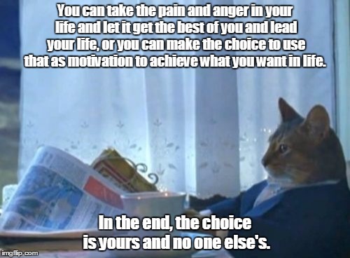 I Should Buy A Boat Cat Meme | You can take the pain and anger in your life and let it get the best of you and lead your life, or you can make the choice to use that as mo | image tagged in memes,i should buy a boat cat | made w/ Imgflip meme maker