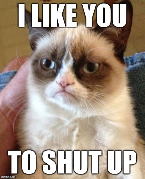 Grumpy Cat | I LIKE YOU TO SHUT UP | image tagged in memes,grumpy cat | made w/ Imgflip meme maker