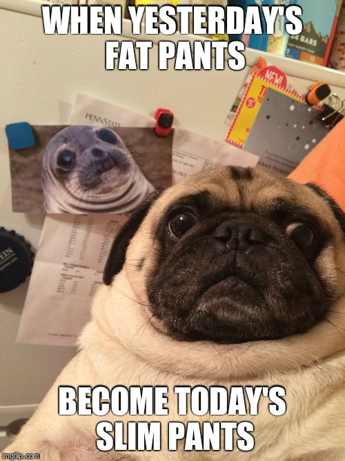 Awkward moment pug | WHEN YESTERDAY'S FAT PANTS BECOME TODAY'S SLIM PANTS | image tagged in awkward moment pug | made w/ Imgflip meme maker