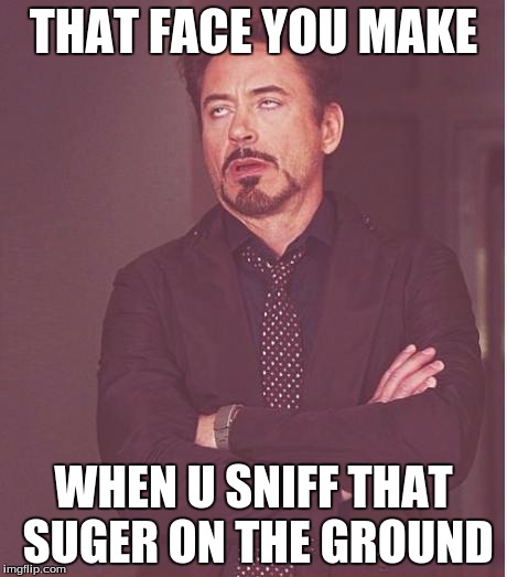 Face You Make Robert Downey Jr | THAT FACE YOU MAKE WHEN U SNIFF THAT SUGER ON THE GROUND | image tagged in memes,face you make robert downey jr | made w/ Imgflip meme maker