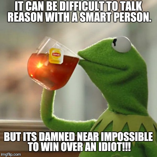 But That's None Of My Business | IT CAN BE DIFFICULT TO TALK REASON WITH A SMART PERSON. BUT ITS DAMNED NEAR IMPOSSIBLE TO WIN OVER AN IDIOT!!! | image tagged in memes,but thats none of my business,kermit the frog | made w/ Imgflip meme maker