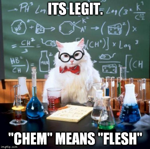 Chemistry Cat | ITS LEGIT. "CHEM" MEANS "FLESH" | image tagged in memes,chemistry cat | made w/ Imgflip meme maker