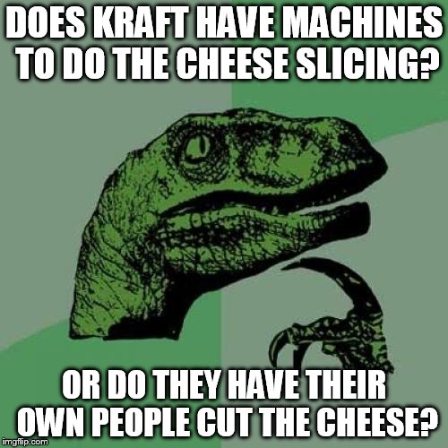 Philosoraptor | DOES KRAFT HAVE MACHINES TO DO THE CHEESE SLICING? OR DO THEY HAVE THEIR OWN PEOPLE CUT THE CHEESE? | image tagged in memes,philosoraptor | made w/ Imgflip meme maker