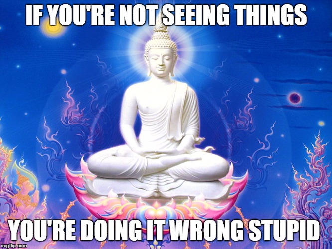 you're doing it wrong  | IF YOU'RE NOT SEEING THINGS YOU'RE DOING IT WRONG STUPID | image tagged in buddha | made w/ Imgflip meme maker