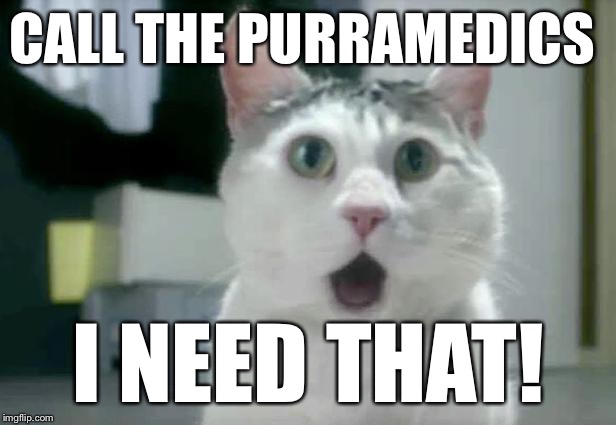 omg cat 2 | CALL THE PURRAMEDICS I NEED THAT! | image tagged in omg cat 2 | made w/ Imgflip meme maker
