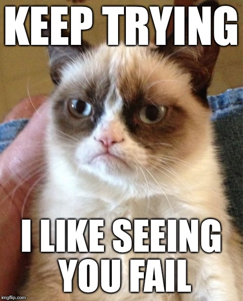 Grumpy Cat Meme | KEEP TRYING I LIKE SEEING YOU FAIL | image tagged in memes,grumpy cat | made w/ Imgflip meme maker