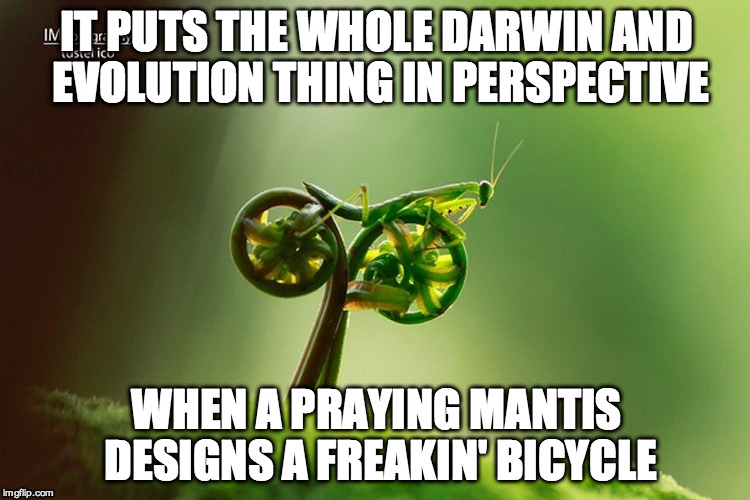 I want to ride my bicycle | IT PUTS THE WHOLE DARWIN AND EVOLUTION THING IN PERSPECTIVE WHEN A PRAYING MANTIS DESIGNS A FREAKIN' BICYCLE | image tagged in praying mantis,mantis,bicycle,evolution,darwin | made w/ Imgflip meme maker
