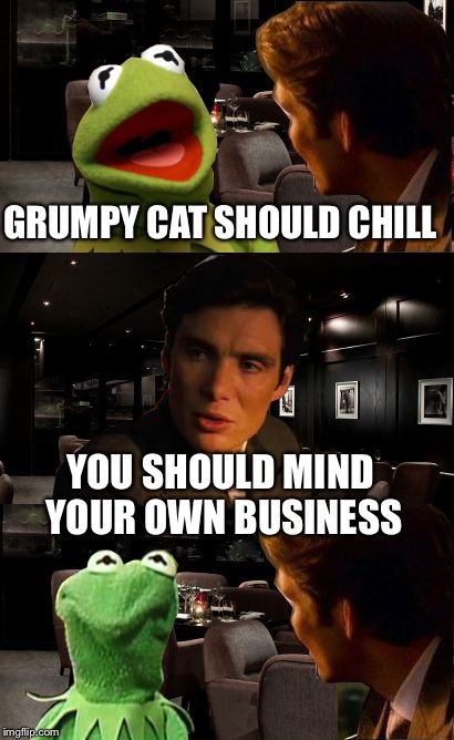 Kermit Inception | GRUMPY CAT SHOULD CHILL YOU SHOULD MIND YOUR OWN BUSINESS | image tagged in kermit inception | made w/ Imgflip meme maker