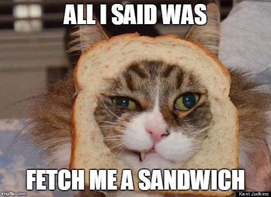 breadcat | ALL I SAID WAS FETCH ME A SANDWICH | image tagged in breadcat | made w/ Imgflip meme maker