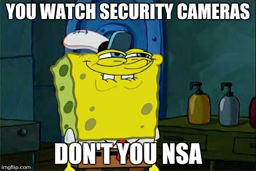 Don't You Squidward Meme | YOU WATCH SECURITY CAMERAS DON'T YOU NSA | image tagged in memes,dont you squidward | made w/ Imgflip meme maker