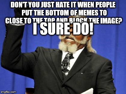 Too Damn High | DON'T YOU JUST HATE IT WHEN PEOPLE  PUT THE BOTTOM OF MEMES TO CLOSE TO THE TOP AND BLOCK THE IMAGE? I SURE DO! | image tagged in memes,too damn high | made w/ Imgflip meme maker