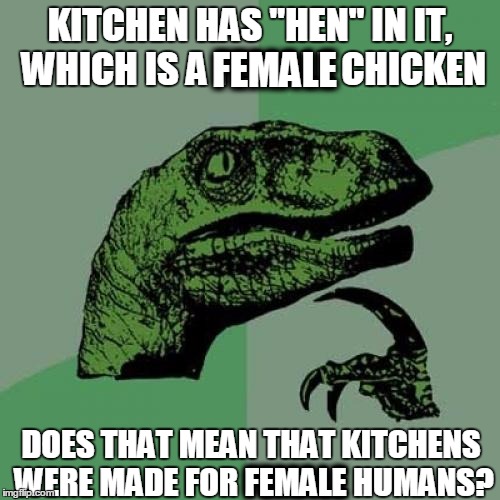 Philosoraptor | KITCHEN HAS "HEN" IN IT, WHICH IS A FEMALE CHICKEN DOES THAT MEAN THAT KITCHENS WERE MADE FOR FEMALE HUMANS? FEMALE FEMALE | image tagged in memes,philosoraptor | made w/ Imgflip meme maker