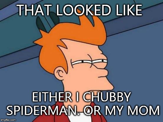 Futurama Fry Meme | THAT LOOKED LIKE EITHER I CHUBBY SPIDERMAN. OR MY MOM | image tagged in memes,futurama fry | made w/ Imgflip meme maker