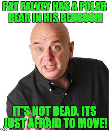 Pat Falvey | PAT FALVEY HAS A POLAR BEAR IN HIS BEDROOM IT'S NOT DEAD. ITS JUST AFRAID TO MOVE! | image tagged in polar bear | made w/ Imgflip meme maker