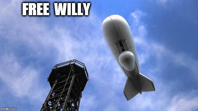 FREE  WILLY | image tagged in willie | made w/ Imgflip meme maker