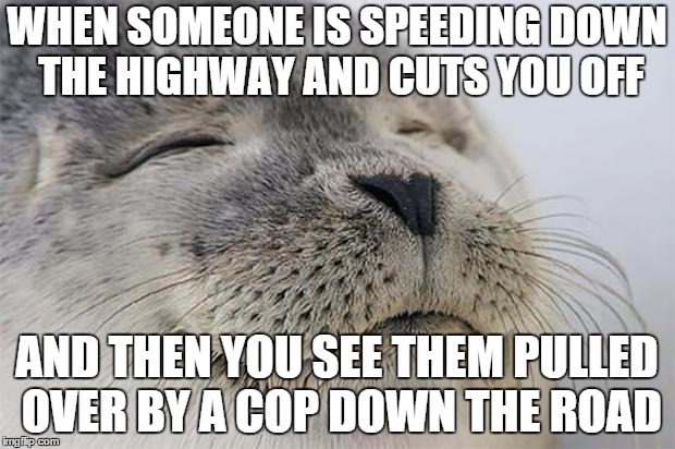 Satisfied Seal Meme | WHEN SOMEONE IS SPEEDING DOWN THE HIGHWAY AND CUTS YOU OFF AND THEN YOU SEE THEM PULLED OVER BY A COP DOWN THE ROAD | image tagged in memes,satisfied seal,AdviceAnimals | made w/ Imgflip meme maker