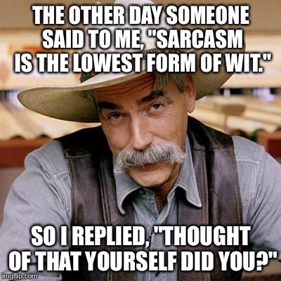 SARCASM COWBOY | THE OTHER DAY SOMEONE SAID TO ME, "SARCASM IS THE LOWEST FORM OF WIT." SO I REPLIED, "THOUGHT OF THAT YOURSELF DID YOU?" | image tagged in sarcasm cowboy | made w/ Imgflip meme maker