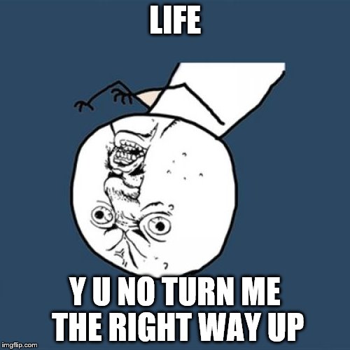Y U No | LIFE Y U NO TURN ME THE RIGHT WAY UP | image tagged in memes,y u no | made w/ Imgflip meme maker