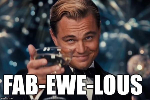 Leonardo Dicaprio Cheers Meme | FAB-EWE-LOUS | image tagged in memes,leonardo dicaprio cheers | made w/ Imgflip meme maker