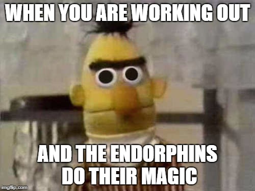 bert eyes | WHEN YOU ARE WORKING OUT AND THE ENDORPHINS DO THEIR MAGIC | image tagged in bert eyes | made w/ Imgflip meme maker