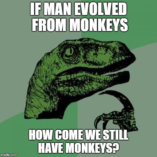 Philosoraptor | IF MAN EVOLVED FROM MONKEYS HOW COME WE STILL HAVE MONKEYS? | image tagged in memes,philosoraptor | made w/ Imgflip meme maker