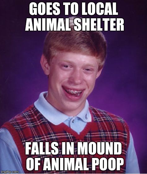 Bad Luck Brian | GOES TO LOCAL ANIMAL SHELTER FALLS IN MOUND OF ANIMAL POOP | image tagged in memes,bad luck brian | made w/ Imgflip meme maker