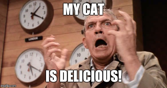 MY CAT IS DELICIOUS! | made w/ Imgflip meme maker