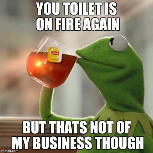 But That's None Of My Business | YOU TOILET IS ON FIRE AGAIN BUT THATS NOT OF MY BUSINESS THOUGH | image tagged in memes,but thats none of my business,kermit the frog | made w/ Imgflip meme maker