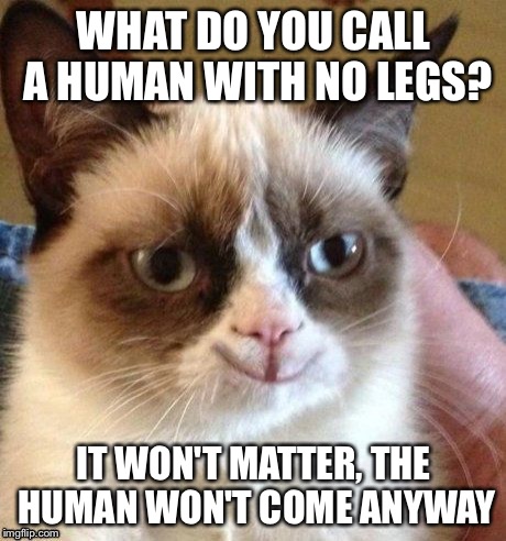 Grumpy smile | WHAT DO YOU CALL A HUMAN WITH NO LEGS? IT WON'T MATTER, THE HUMAN WON'T COME ANYWAY | image tagged in grumpy smile | made w/ Imgflip meme maker