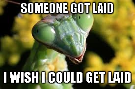 Mantis | SOMEONE GOT LAID I WISH I COULD GET LAID | image tagged in mantis | made w/ Imgflip meme maker