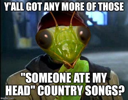 Yall Got Any More Of Mantis Memes | Y'ALL GOT ANY MORE OF THOSE "SOMEONE ATE MY HEAD" COUNTRY SONGS? | image tagged in yall got any more of mantis memes | made w/ Imgflip meme maker